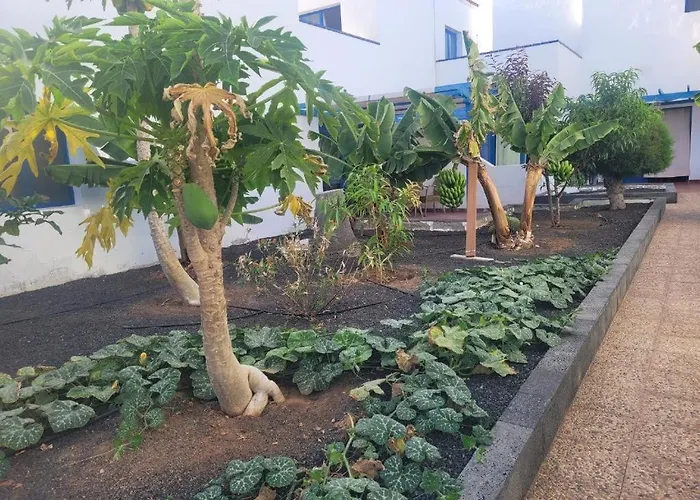 Sunny In The Center Near The Lägenhet *