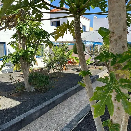 Sunny In The Center Near The *