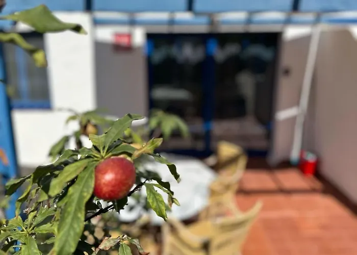 Sunny In The Center Near The * Caleta De Fuste