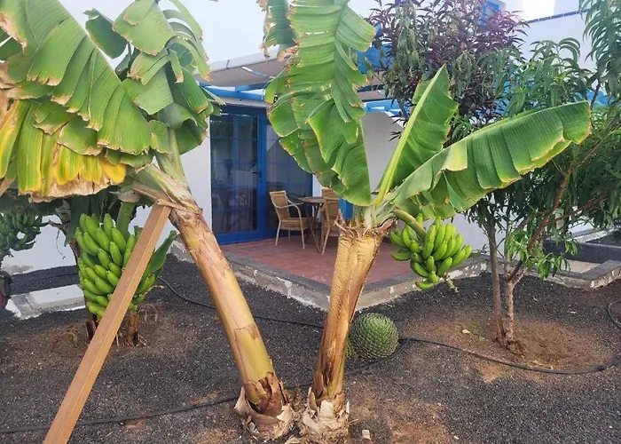 Apartmán Sunny In The Center Near The Caleta De Fuste