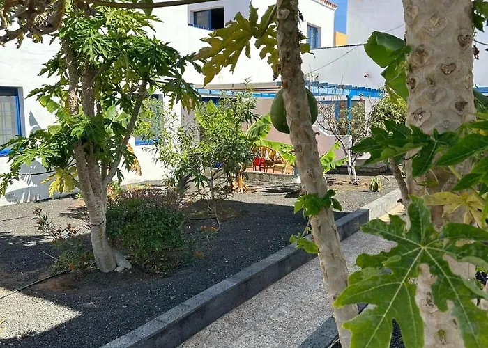 Sunny In The Center Near The *