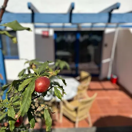 Sunny In The Center Near The * 科斯塔卡莱塔