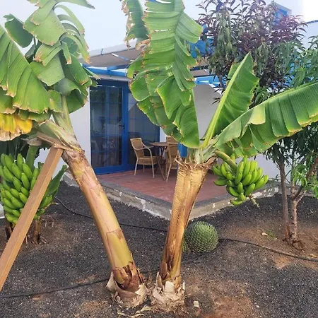 Lägenhet Sunny In The Center Near The Caleta De Fuste