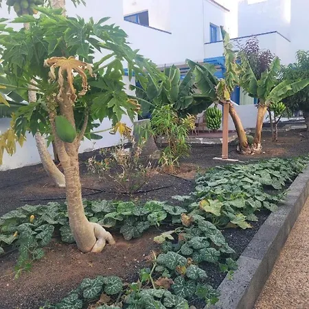 Sunny In The Center Near The Lägenhet *